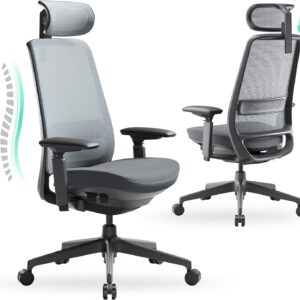 COLAMY Ergonomic Office Chair, High-Back, BlackGrey