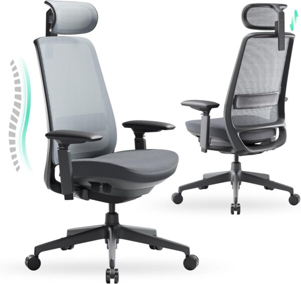COLAMY Ergonomic Office Chair, High-Back, BlackGrey