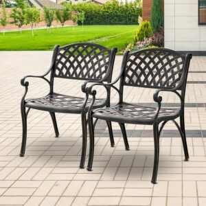 Aluminum Patio Chairs, Set of 2, Bronze