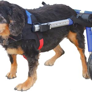Walkin' Wheels Dog Wheelchair, Medium Dogs, 26-49 lbs